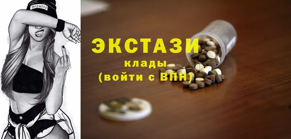 гашик Алексин