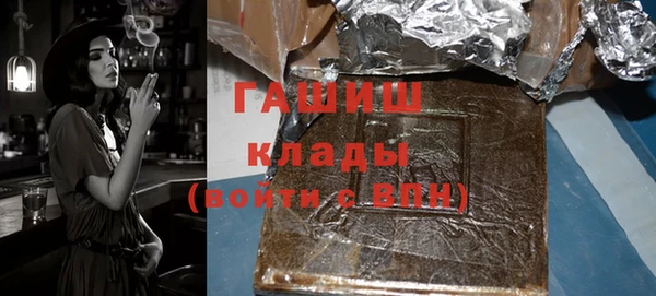 гашик Алексин