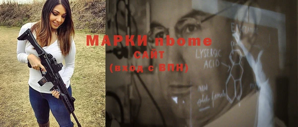 гашик Алексин