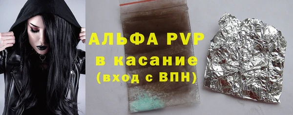 гашик Алексин